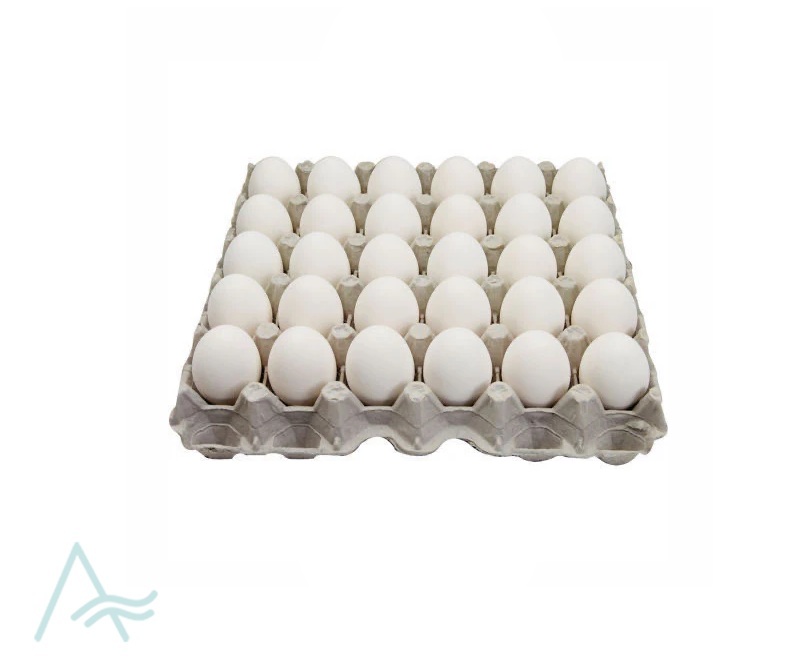 HOLLYFIELD 30 WHITE EGGS